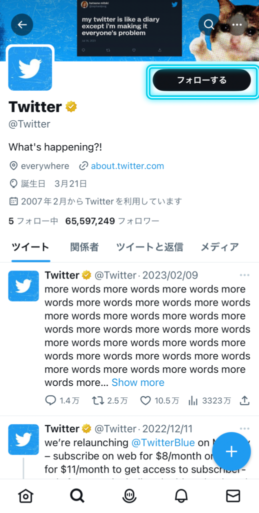 Twitter公式のアカウント画面。アカウントのトップページのフォローするをタップ。