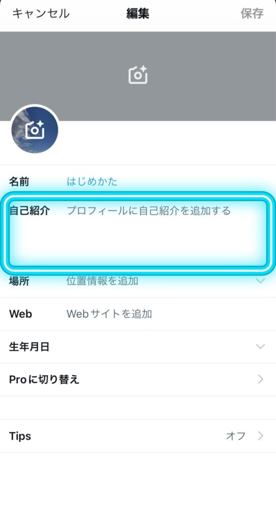 Twitterプロフィール編集画面。自己紹介を記入。