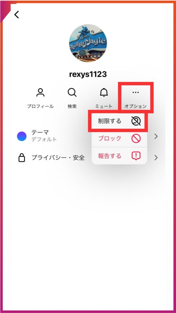 InstagramのDMからアカウント制限する方法。…のオプションから制限するを選択する。